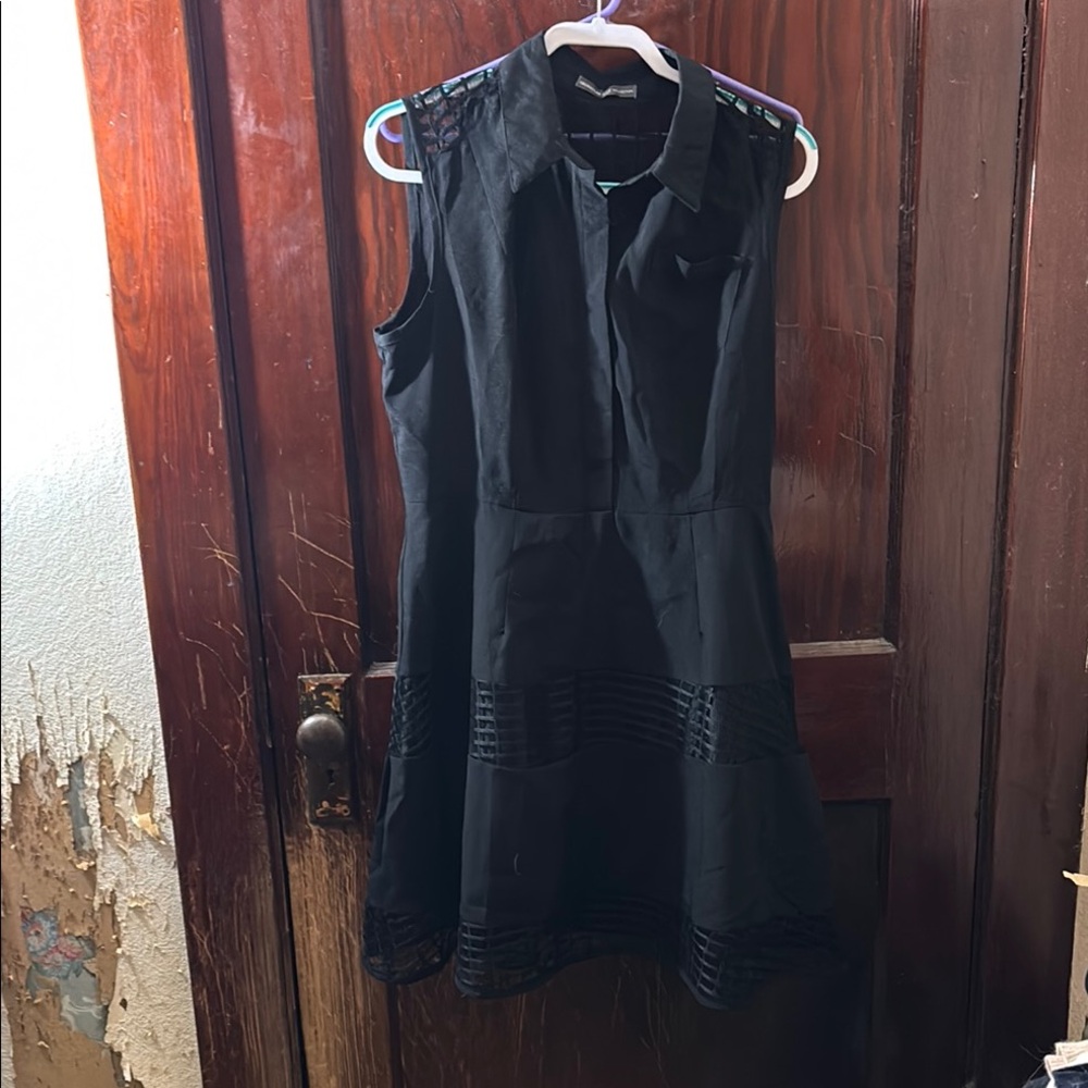 Elegant Black Sleeveless Dress